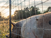  Horse Fence