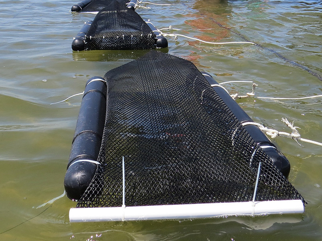 Float-Oyster-Mesh