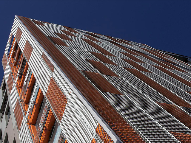 Expanded Mesh