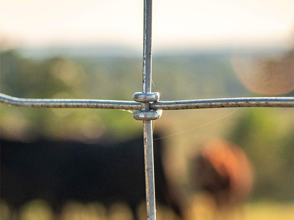  Horse Fence