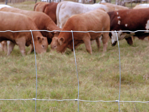 Hinge Joint Field Fence