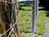 Fixed Knot Fence