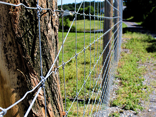 Fixed Knot Fence