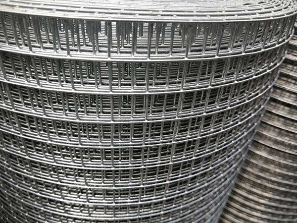 Galvanized Welded Wire Mesh