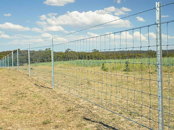 Hinge Joint Field Fence