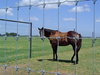 Fixed Knot Fence