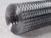 Galvanized Welded Wire Mesh