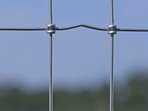  Horse Fence